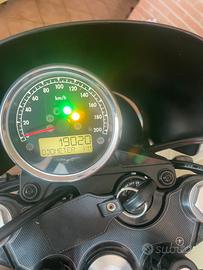 Guzzi v7 lll stone