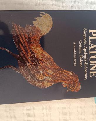Platone simposio