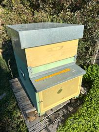 Arnia completa di tutto