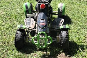 mini quad 