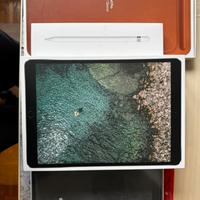 iPad Pro 2017 64GB+Apple Pencil+cover e sleeve