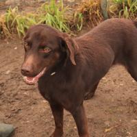 STELLA sei uno splendore