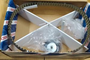 Kit cinghia trasmissione pompa common rail TDV6