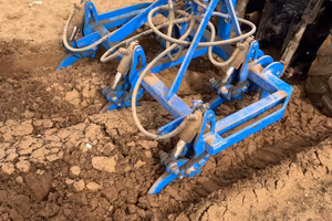 5 punti agricolo