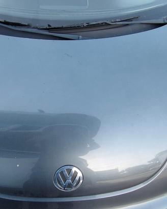 VOLKSWAGEN NEW BEETLE 2005 COFANO ANTERIORE