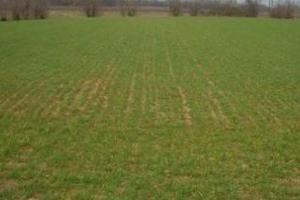 Terreno di 50000 m² a San Giustino