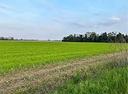 15000-metri-terreno-agricolo