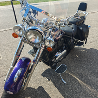 Kawasaki VN 800 Classic