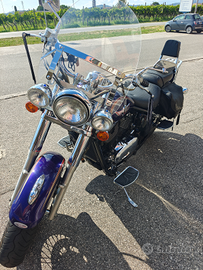 Kawasaki VN 800 Classic