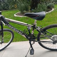 bicicletta da ragazzo 