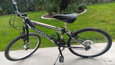 bicicletta da ragazzo 