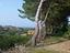 Immagine 15