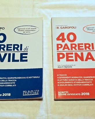 40 Pareri Civile e Penale - Nel Diritto Editore 