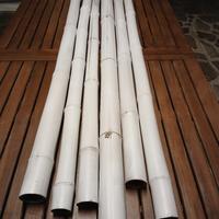 Canne di bamboo diam. da 4,5 a 6 cm bianco