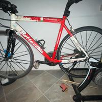 Bottecchia top sprinter M