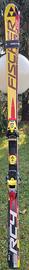 Sci Fischer RC4 Worldcup SG (sl gigante) cm 183