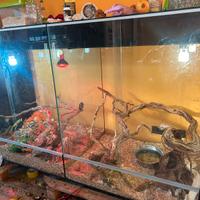 teca con mobile e divisorio in vetro temperato