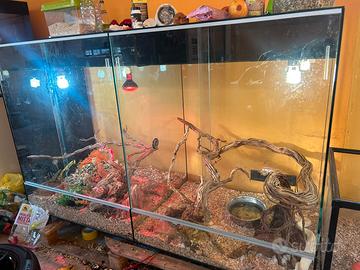 teca con mobile e divisorio in vetro temperato