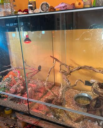 teca con mobile e divisorio in vetro temperato