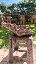 vaso collezione bonsai