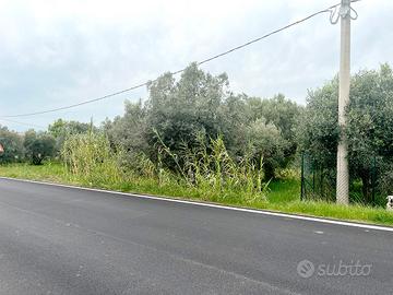 Terreno edificabile a Giulianova