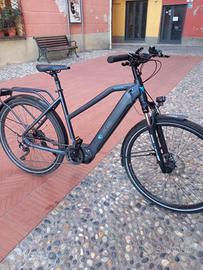 e-bike brinke rushmore motore shimano