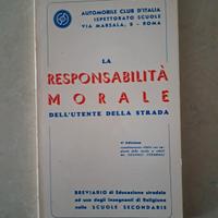 La responsabilità morale dell'utente della strada