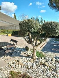 Vendita appartamento di proprietà, anno 2021