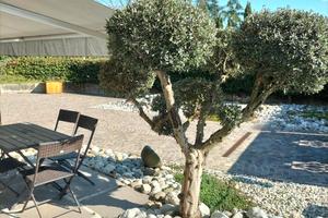 Vendita appartamento di proprietà, anno 2021