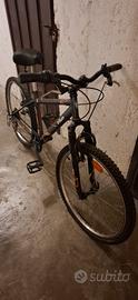bici 24