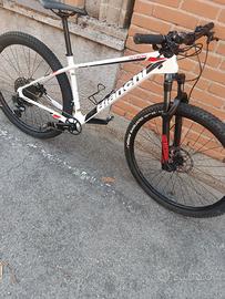 bianchi carbon 29'
