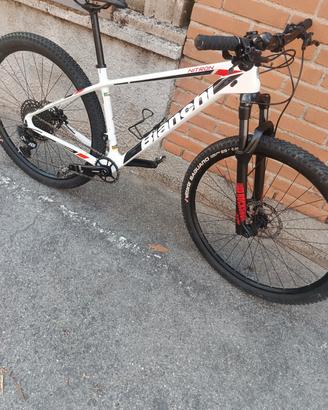 bianchi carbon 29'