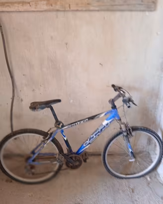 Bicicletta