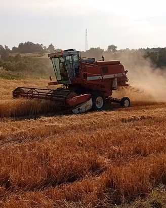 Mietitrebbia laverda 3350 al