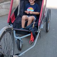 carrello porta bambini 