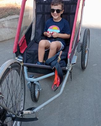 carrello porta bambini 