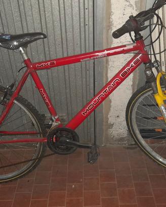 Bicicletta mountain bike