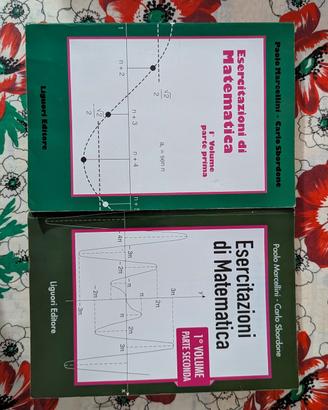 Esercitazioni di Matematica 1 Marcellini Sbordone
