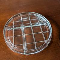 Vassoio in Vetro Multiuso 
