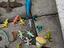 Immagine 4