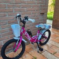 bicicletta