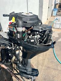 Mercury F9.9ELPT BIGFOOT