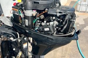 Mercury F9.9ELPT BIGFOOT