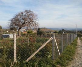 Terreno agricolo