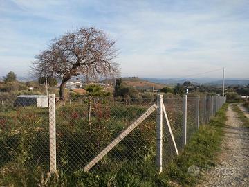 Terreno agricolo