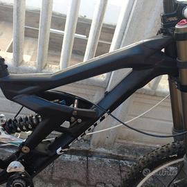 TELAIO Scott Gambler