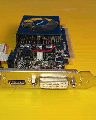 SCHEDA GRAFICA INTERNA PER PC. PNY GeForce GT610,