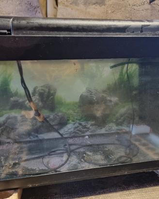 acquario 