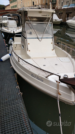 Barca Miami 20 walkaround