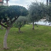 Privato vende con trattativa riservata NO AGENZIA